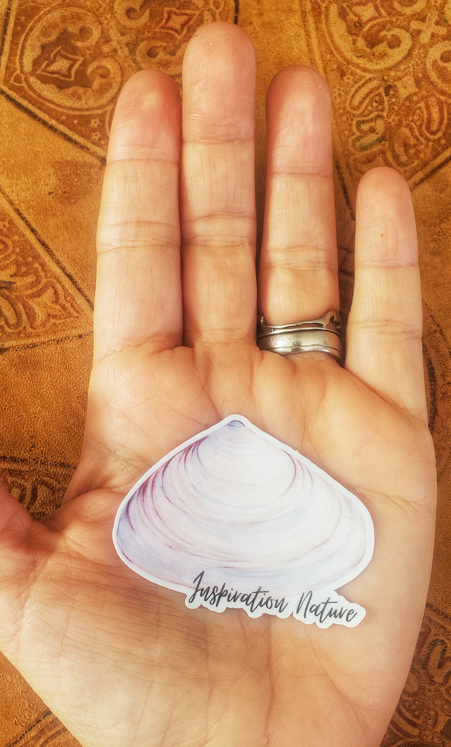 Autocollant Coquillage