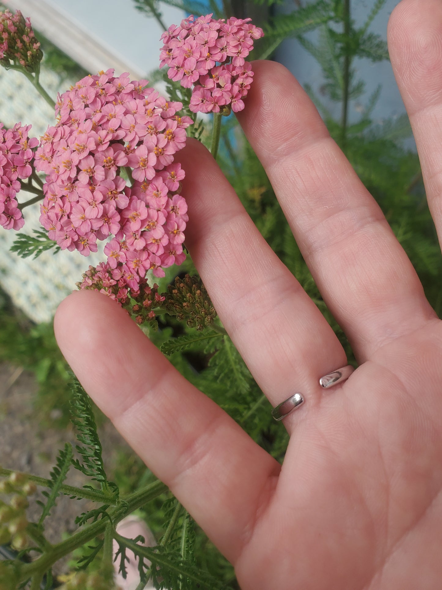 Bague organique argent