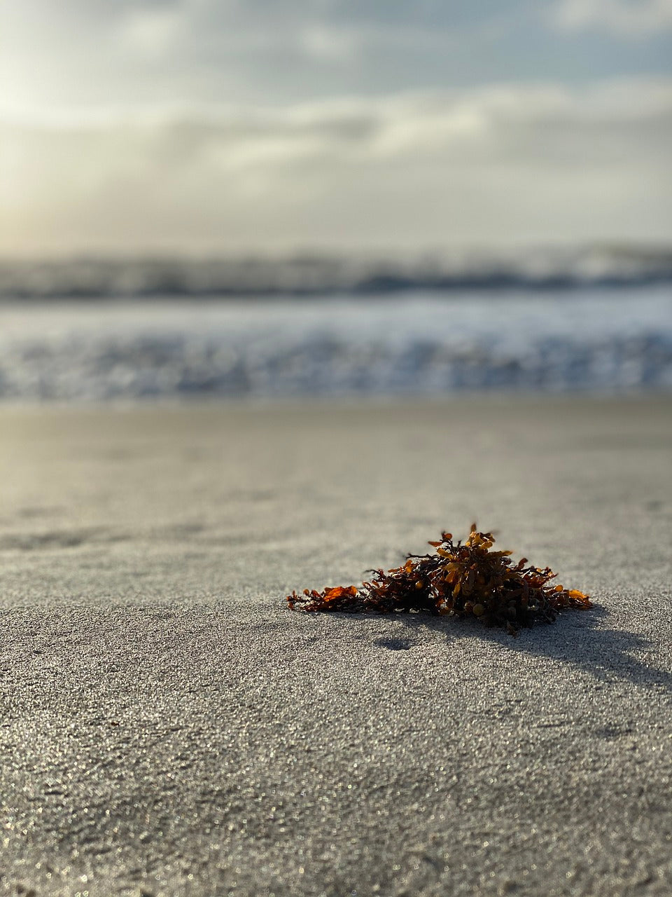Inspiration Mer Bord de mer – InspirationNature