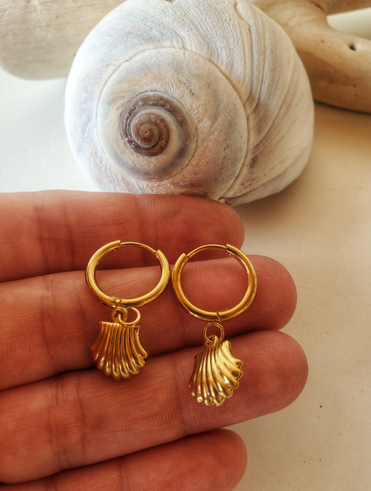 Les coquillages dorés #2