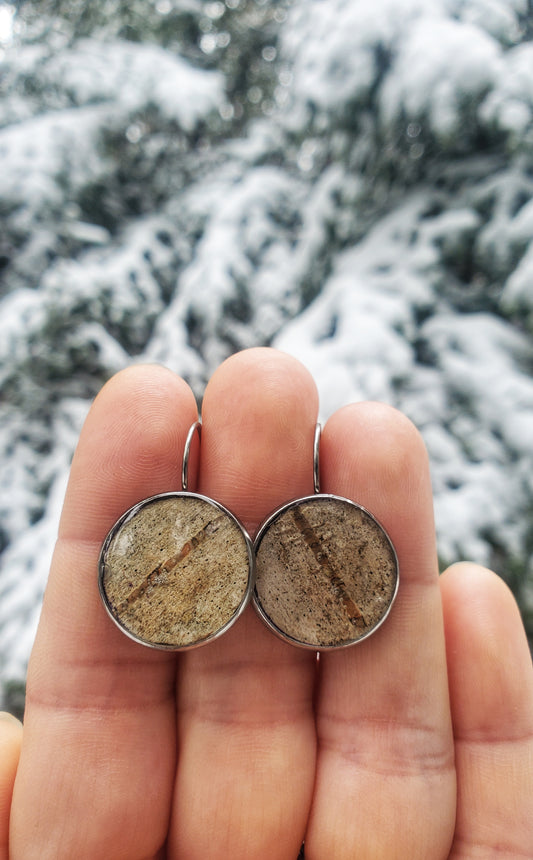 Écorce de Bouleau #5