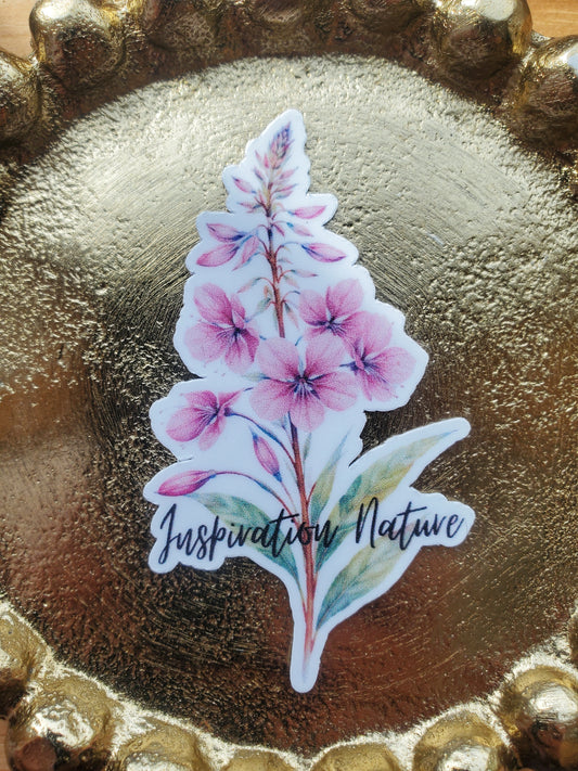 Autocollant Épilobe