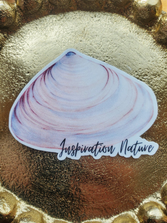 Autocollant Coquillage