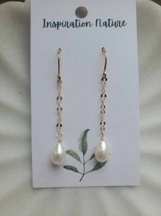 Collection Maillage #10