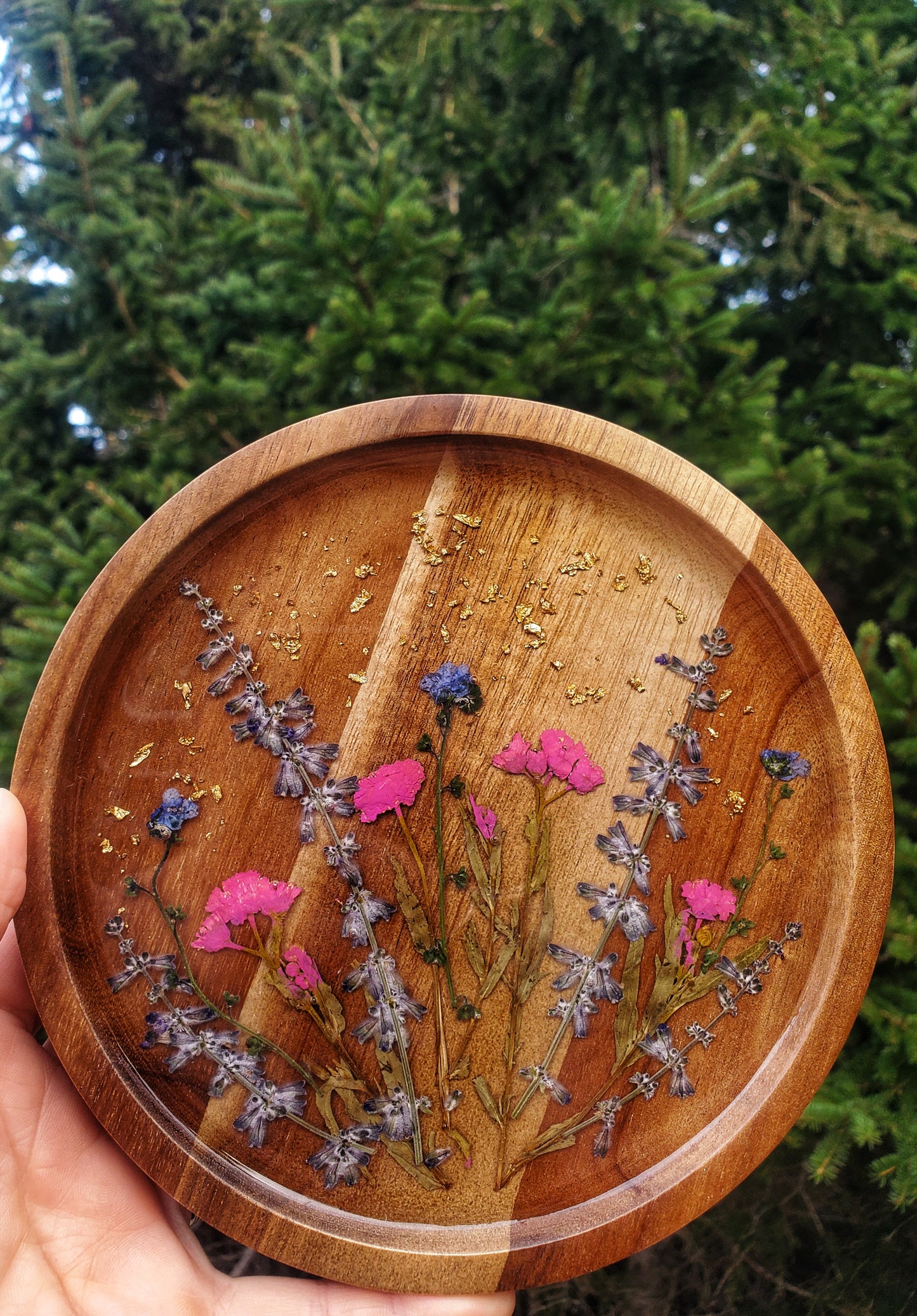 Plateau Botanique #7
